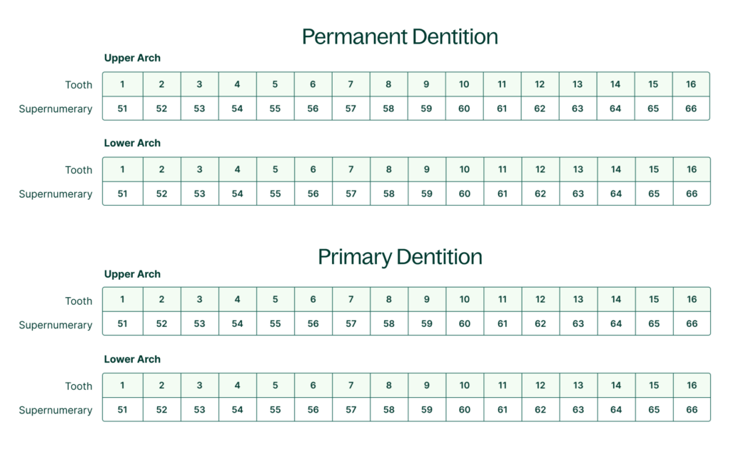 charting supernumerary teeth