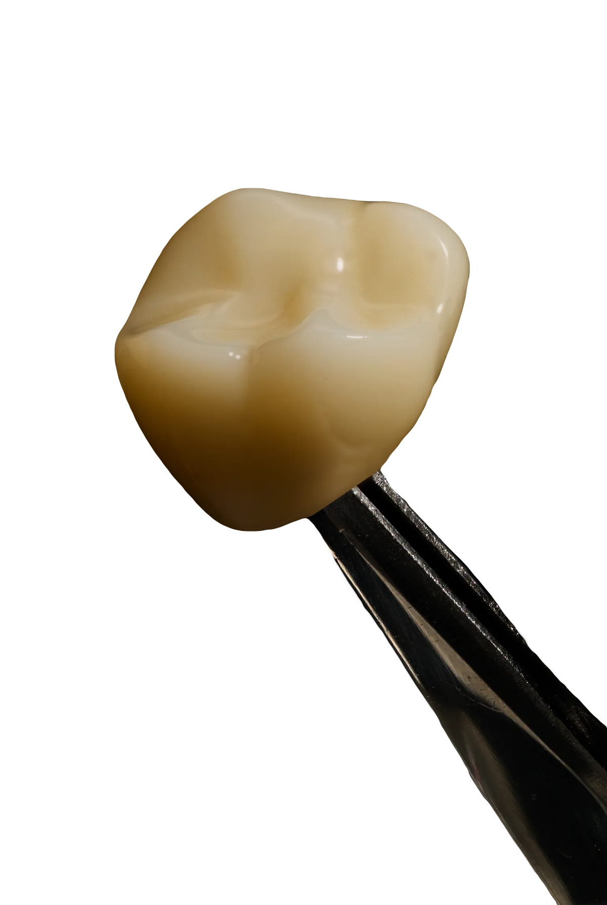 national_lab_polychromatic_crown_500x596-image-2
